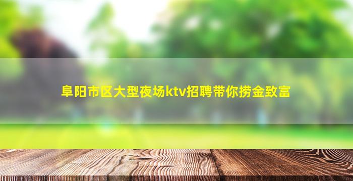 阜阳市区大型夜场ktv招聘带你捞金致富